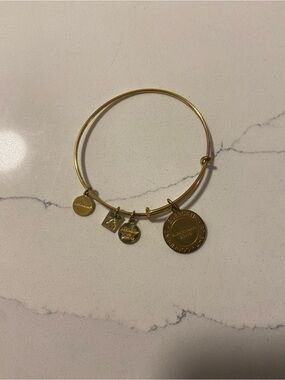 Alex and Ani Charm Bracelet